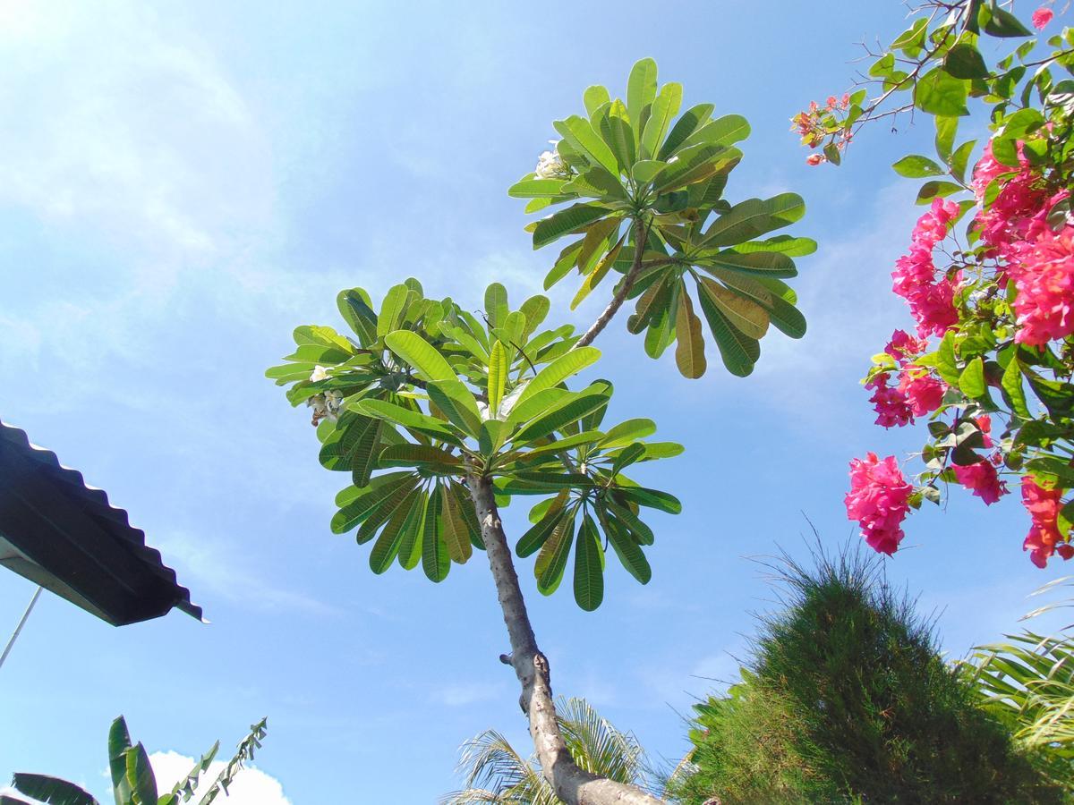 Sister Bungalow Hotell Gili Air Exteriör bild